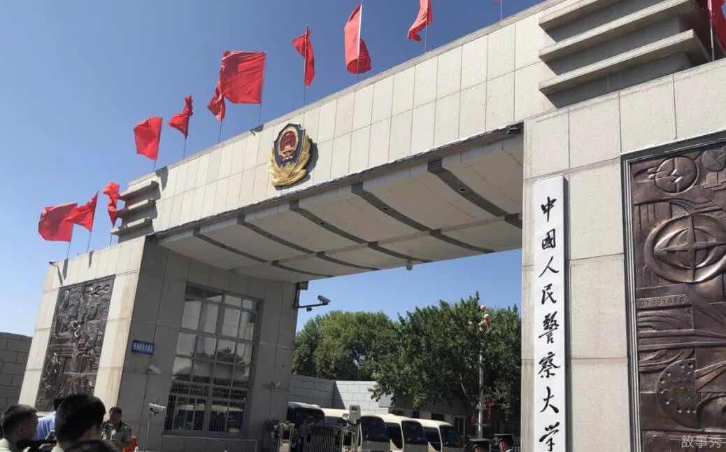 网络图片(侵删)