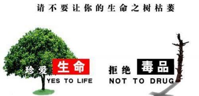 ​世界禁毒日的口号是,2019年世界禁毒日的主题是什么