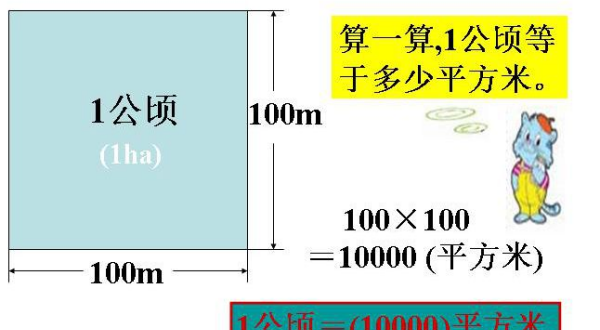 公顷等于多少米,数学一平方米等于多少米图2