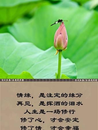 人生何处不相逢下一句：人生何处不相逢下一句