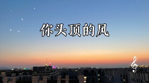 风学会了什么,风学会了什么,星星学会了什么,什么学会了什么