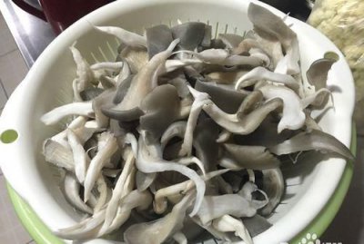 ​平菇表面发黄还能吃吗，平菇表面发黄是什么原因？
