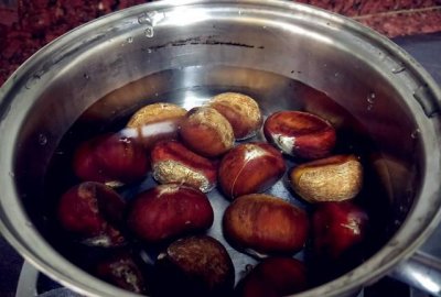 ​栗子生虫子还能吃吗，板栗树里的虫能吃吗？