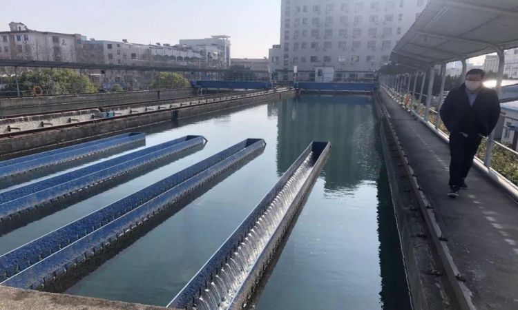 自来水养鱼快速除氯气养鱼优化水质