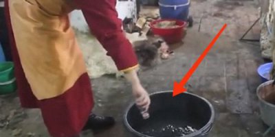​皮草怎么洗在家里(皮草怎么洗最好)