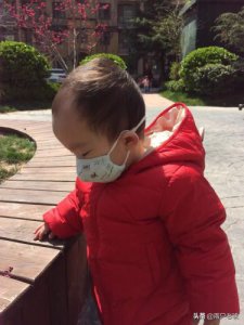 ​打疫苗注意事项有哪些？猫咪打疫苗注意事项