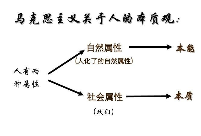 什么是人生观?人生观包括哪些内容?：正确的人生观包括哪些方面
