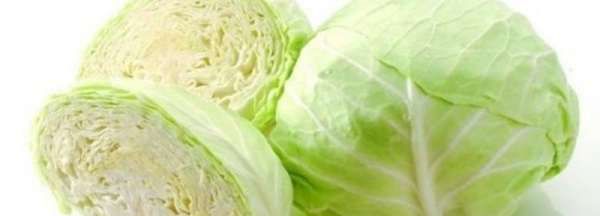 疙瘩白是什么菜,噶的白和白菜有区别吗图2