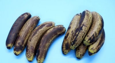 ​发黑的香蕉能吃,香蕉黑了还能不能吃?