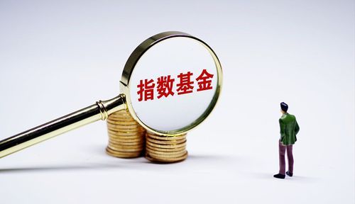 指数型基金是什么意思