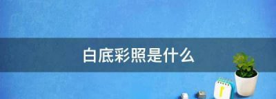 ​彩照是白底还是红底,白底彩照是什么样子