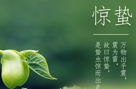 惊蛰到来后会有什么变化,你认为惊蛰到来后会发生什么变化图2
