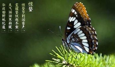 你认为惊蛰到来后还有什么会发生变化写一写