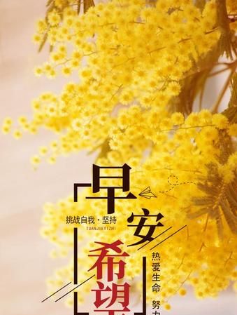 早上发朋友圈的句子可吸引人正能量图片