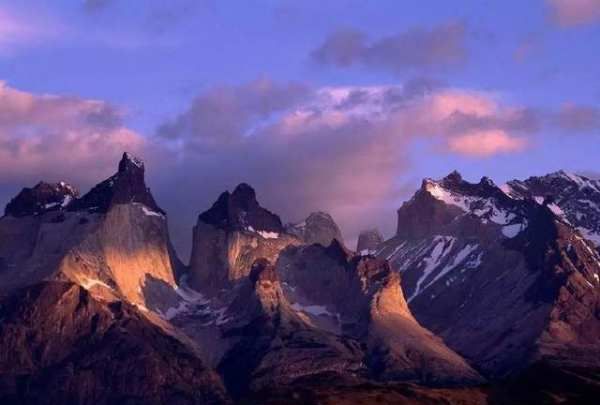 上海洋山芋是什么,洋山芋是红薯吗图6