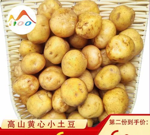 洋山芋是属于什么垃圾?