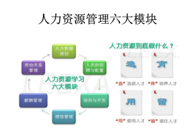 ​人力资源的六大模块,人力资源六大模块包括哪些内容