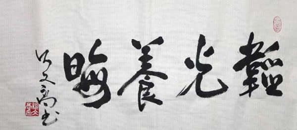 韬光养晦是什么意思为什么有人提醒不要忘了这个词的意思