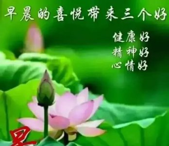 ​生活中废旧物品再利用有哪些，日常生活中有哪些节约资源的方法？