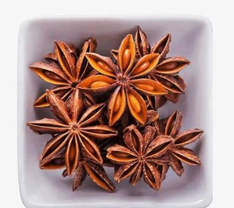 ​大料是什么，大料瓣是什么？
