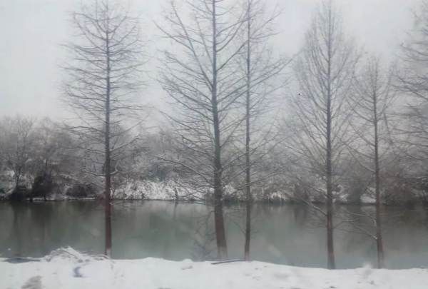 雪灾有哪些危害,雪对我们日常生活还有哪些正面和负面的影响呢图1