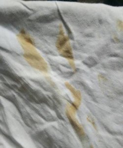 ​衣服上的汽油怎么洗掉,如何去除衣服汽油味