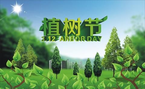 1. 什么时间植树成活率最高