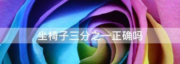 坐椅子的三分之一还是三分之二,中华礼仪博大精深女士坐椅子的标准是坐椅子的3还是23图1