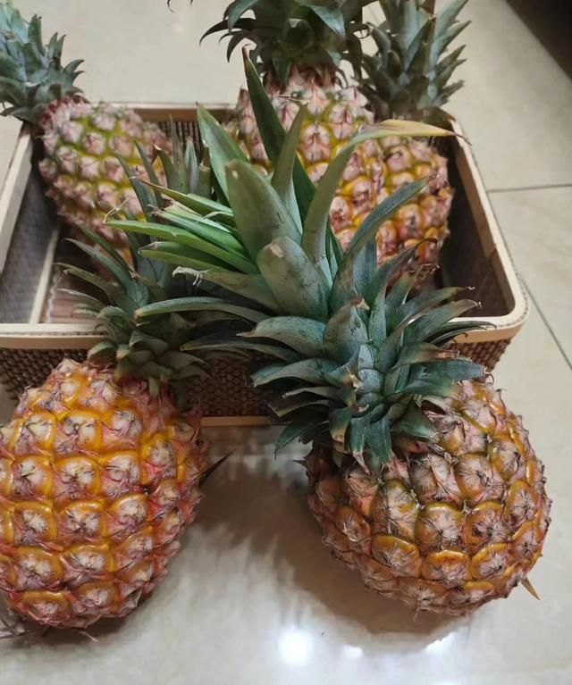 凤梨是不是菠萝，凤梨既然很好吃干嘛还要种菠萝？图4