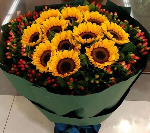 什么花代表友谊