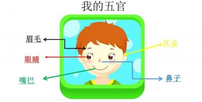 ​五官是哪五官，五宫四调指的哪五官？