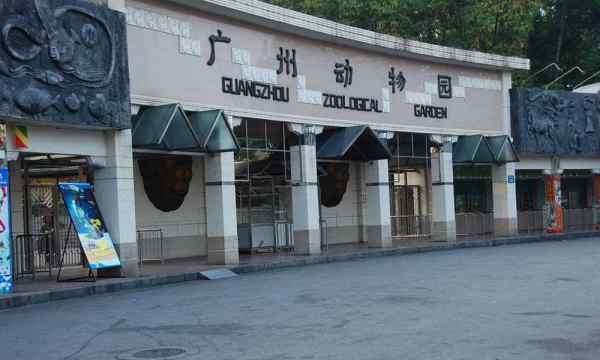 广州动物园门票,广州动物园的门票是多少钱图5