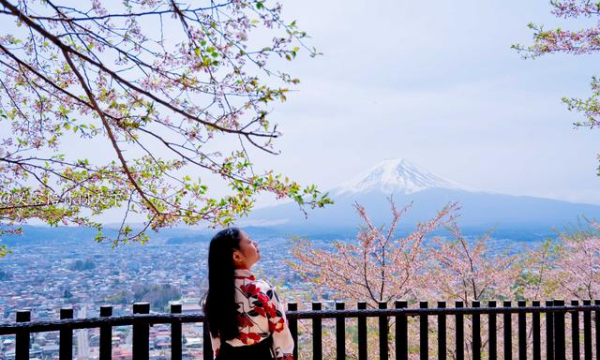 富士山浅间神社的主人是谁,日本的富士山是属于私人财产吗图7