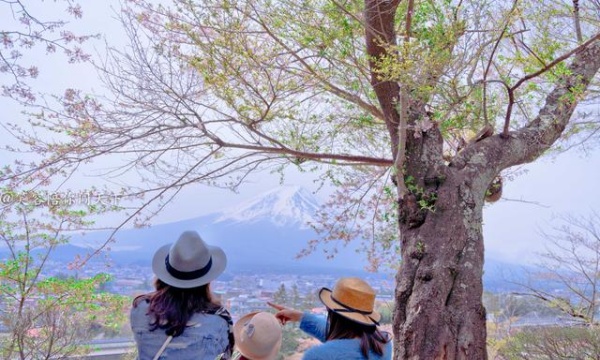 富士山浅间神社的主人是谁,日本的富士山是属于私人财产吗图6