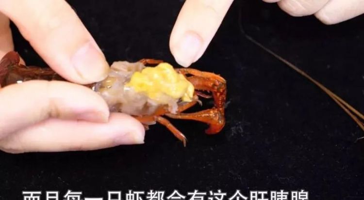虾黄和屎的区别 怎么辨别虾黄和屎黄