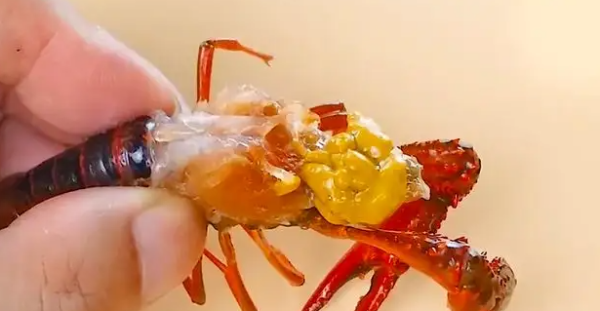 虾黄和屎的区别,虾头部分是黄还是屎图4