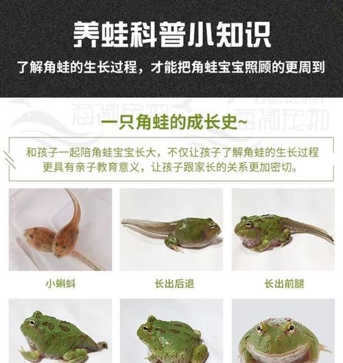 我是新人用英语怎么说