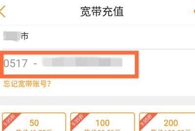 宽带网上缴费，宽带可以在网上缴费吗？图10