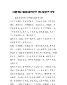 ​什么依旧作文600字,什么什么依旧作文600字
