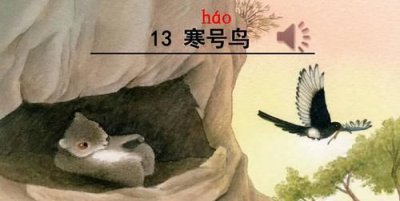 ​寒号鸟是什么动物，你见过现实中的寒号鸟吗？