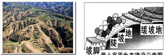 黄土高原黄土的成因