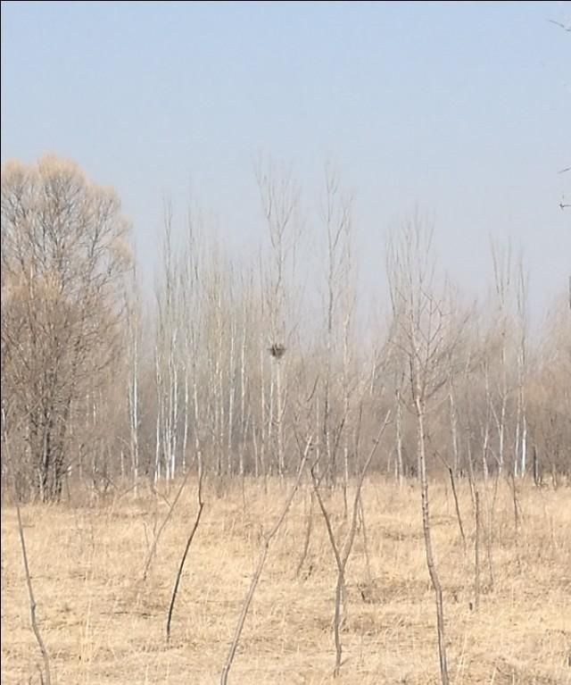 一万元做什么好(一万块钱做什么合适)图4