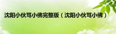 ​沈阳小伙骂小佛完整版（沈阳小伙骂小佛）