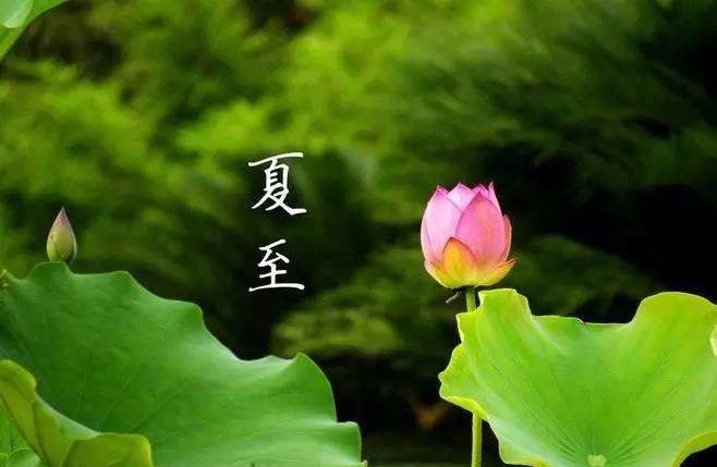端午节又名什么节日