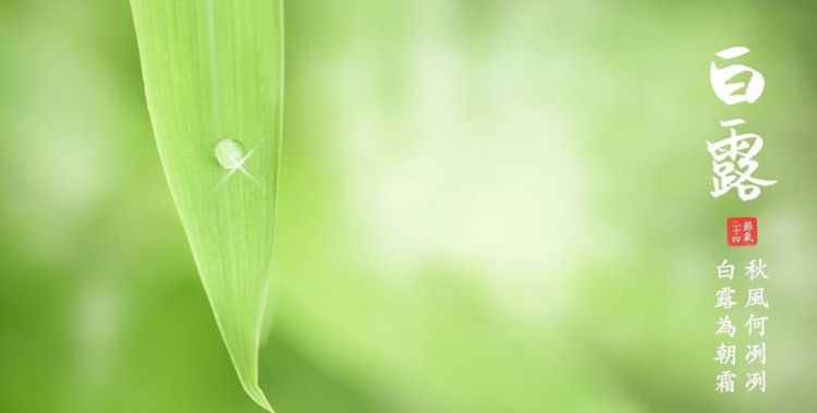 白露是什么季节：白露是什么节气