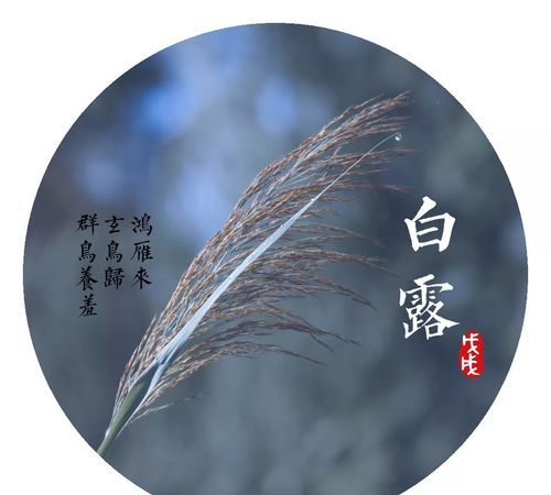 白露是什么季节：