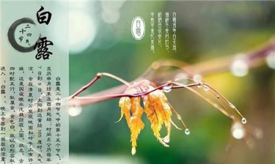 ​白露是什么季节,白露是什么季节