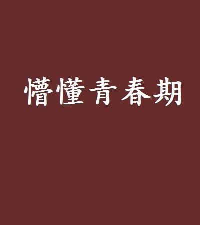 懵懂少年百度网盘资源