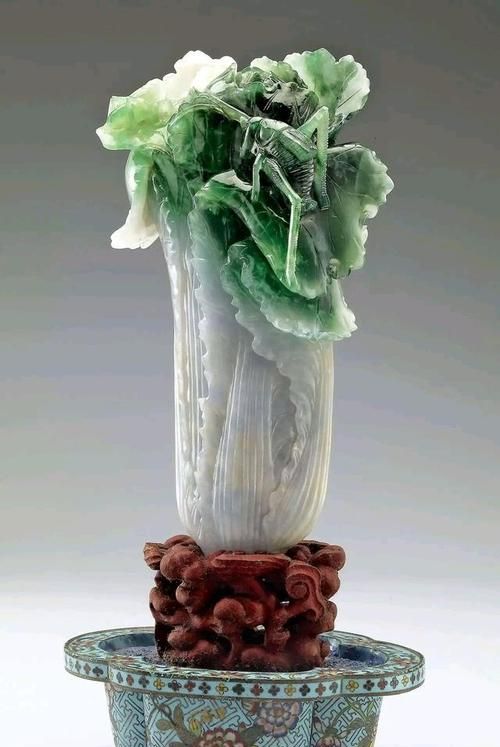 填量词一什么白菜