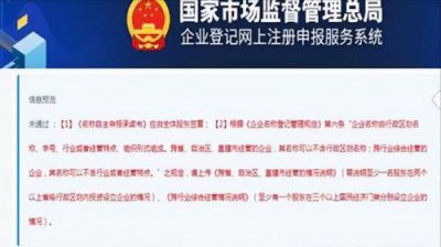 ​企业名称预先核准申请书模板(企业名称预先核准申请书怎么填写)